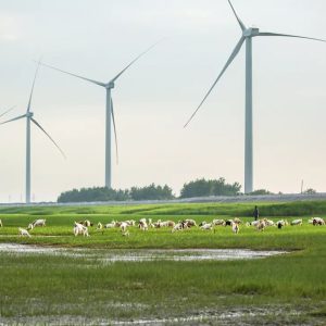 Horizontal-axis wind turbine